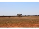 400 Marrett Road, Caliph SA 5310