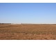 400 Marrett Road, Caliph SA 5310