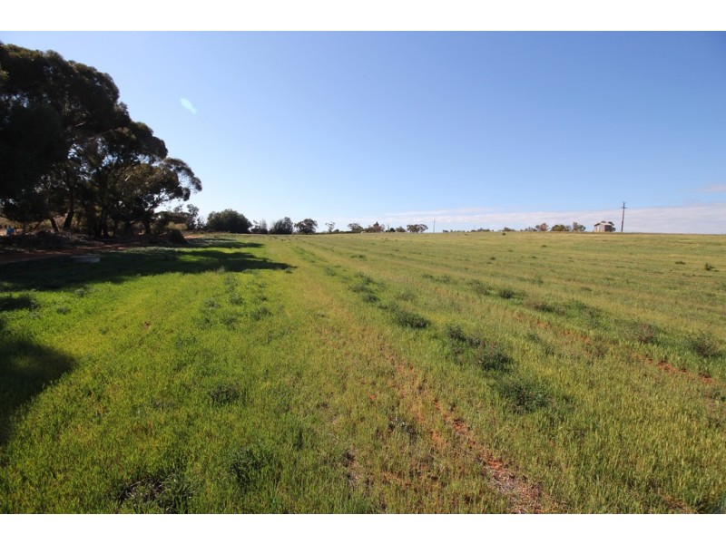 Sect  548 Gratwick Road, Loxton SA 5333
