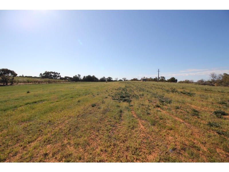 Sect  548 Gratwick Road, Loxton SA 5333