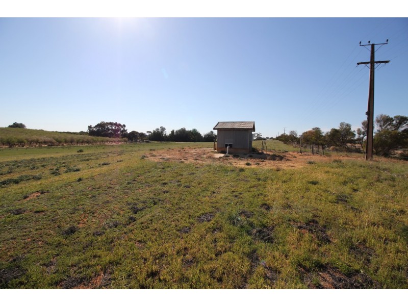 Sect  548 Gratwick Road, Loxton SA 5333