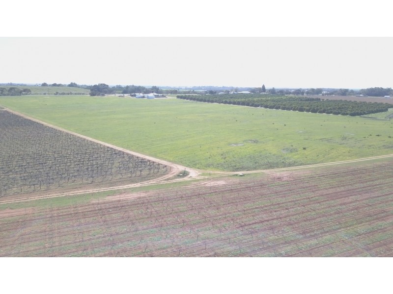 Lot 16 Gratwick Road, Loxton SA 5333