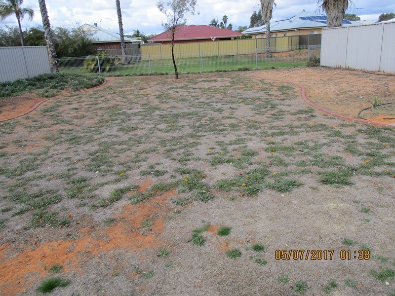 2 Lagoon Court, Renmark SA 5341