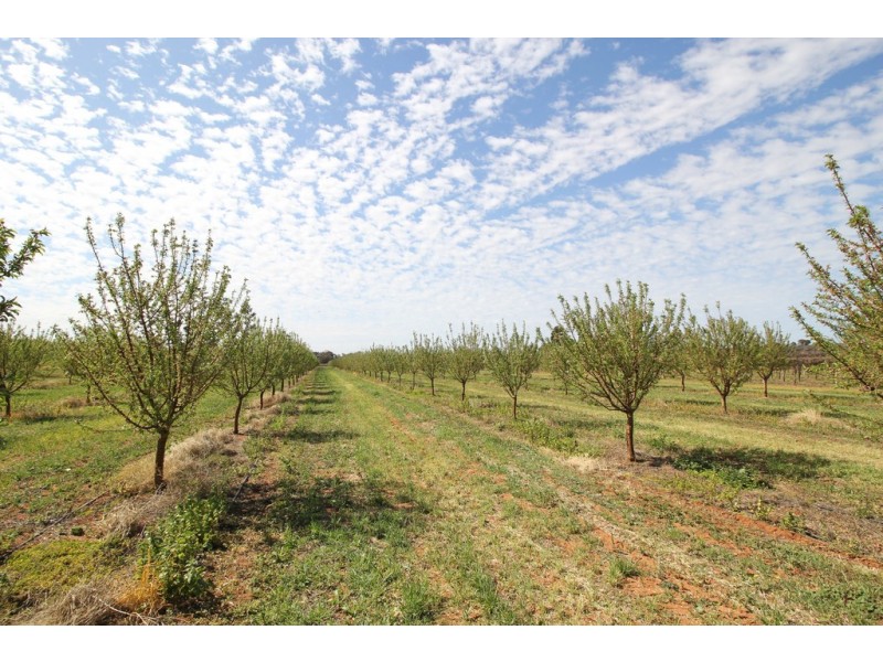 Sec 542 Gordon Road, Loxton SA 5333