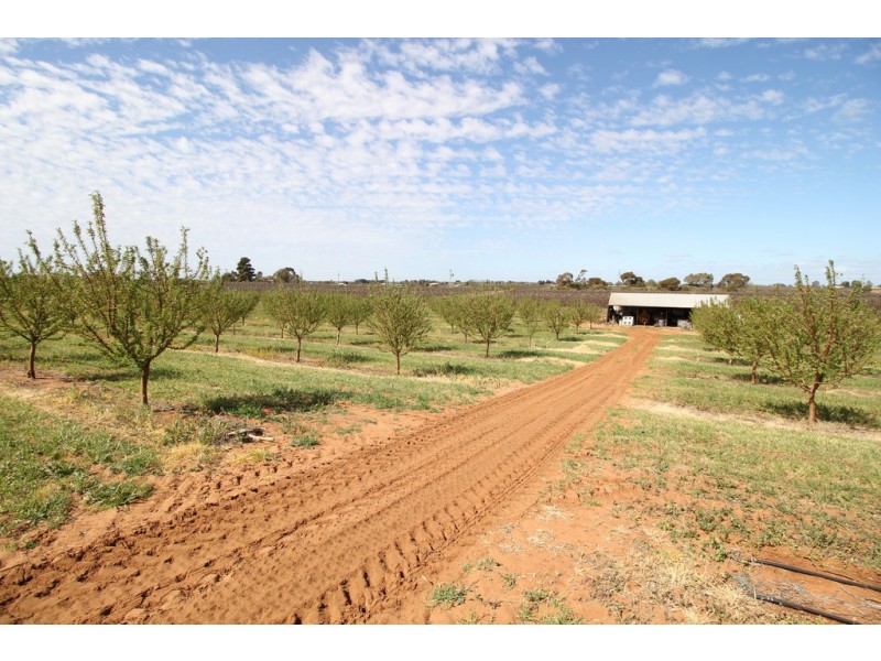 Sec 542 Gordon Road, Loxton SA 5333