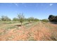 Sec 542 Gordon Road, Loxton SA 5333
