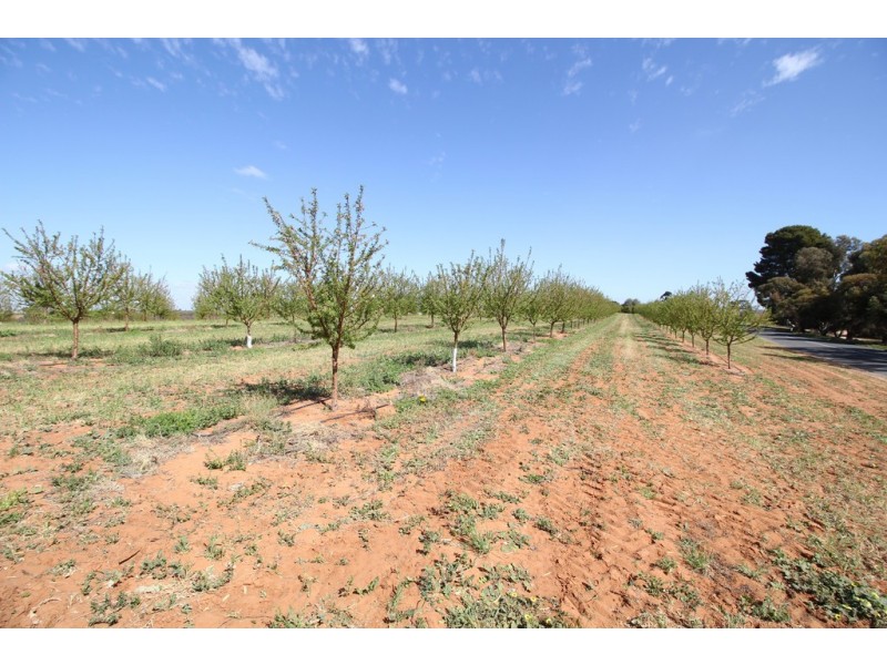 Sec 542 Gordon Road, Loxton SA 5333