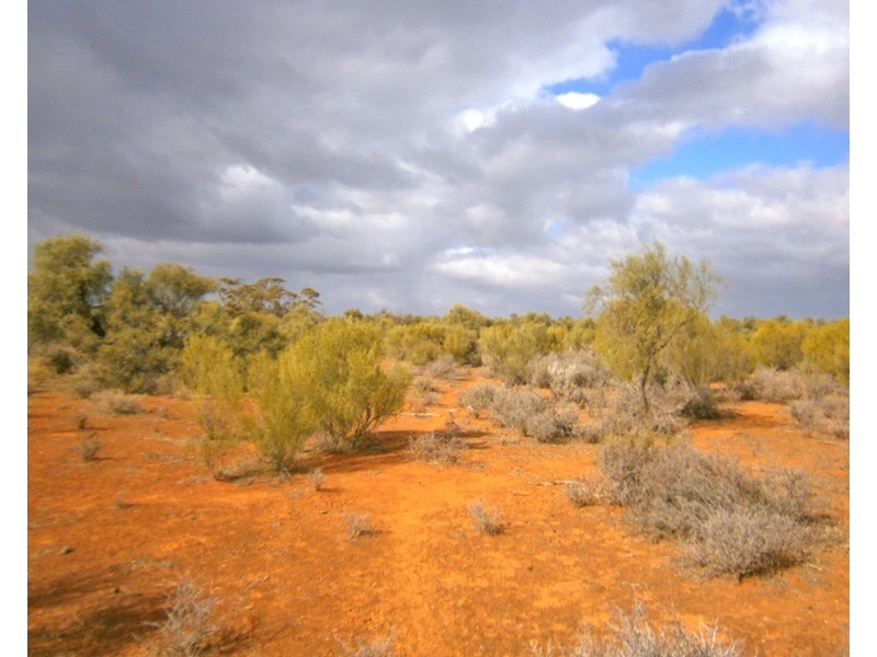 Section 416, Eba Vale Road, Morgan SA 5320