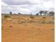 Section 416, Eba Vale Road, Morgan SA 5320