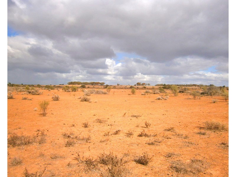 Section 416, Eba Vale Road, Morgan SA 5320