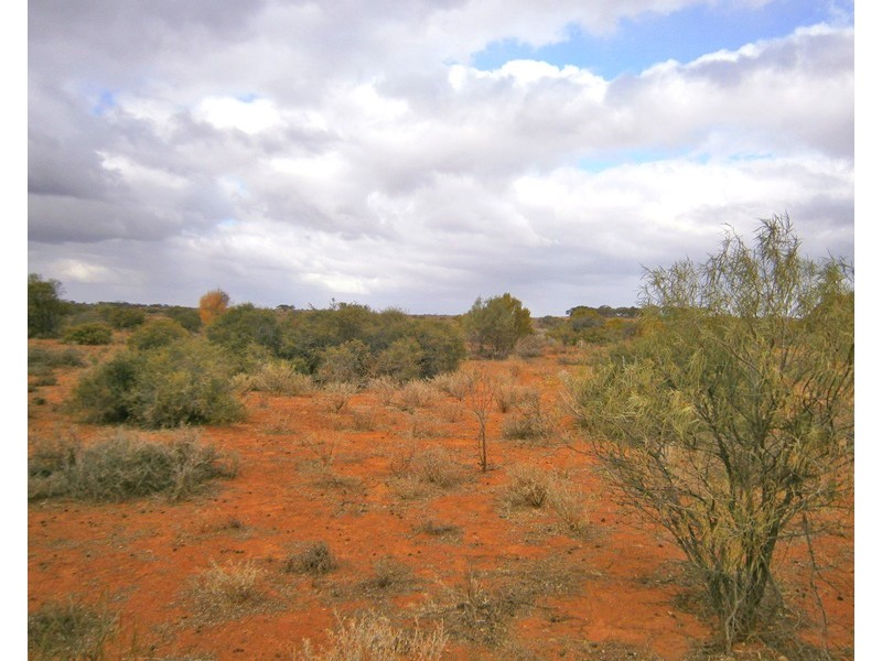 Section 416, Eba Vale Road, Morgan SA 5320