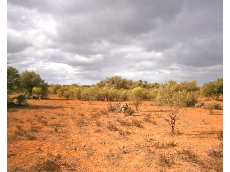 Section 416, Eba Vale Road, Morgan SA 5320
