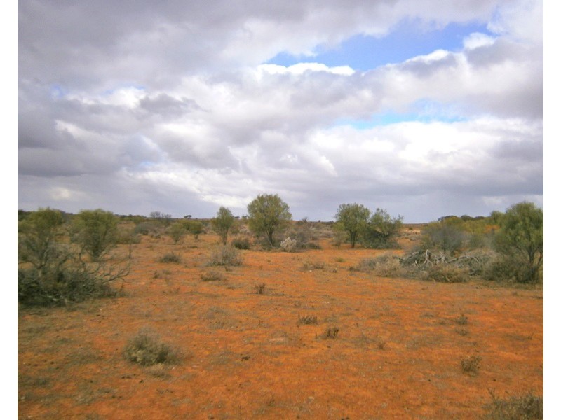 Section 416, Eba Vale Road, Morgan SA 5320