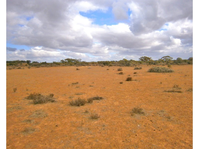 Section 416, Eba Vale Road, Morgan SA 5320