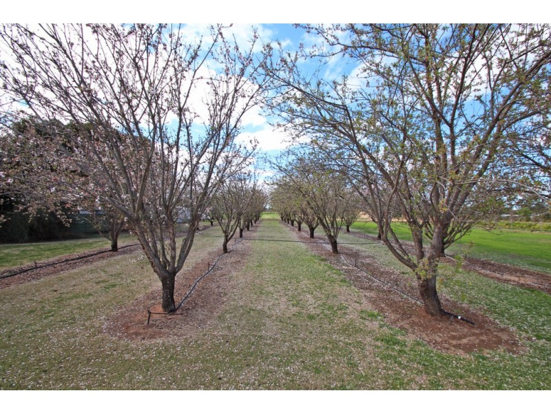 285 Kulkyne Street, Renmark SA 5341