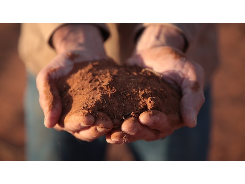 1 Golledge Road, Monash SA 5342