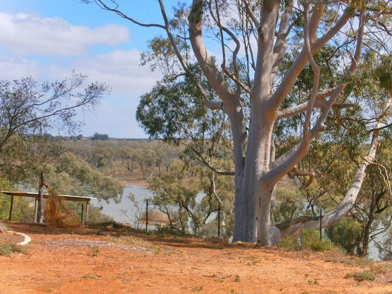 112 Promnitz Road, Waikerie SA 5330