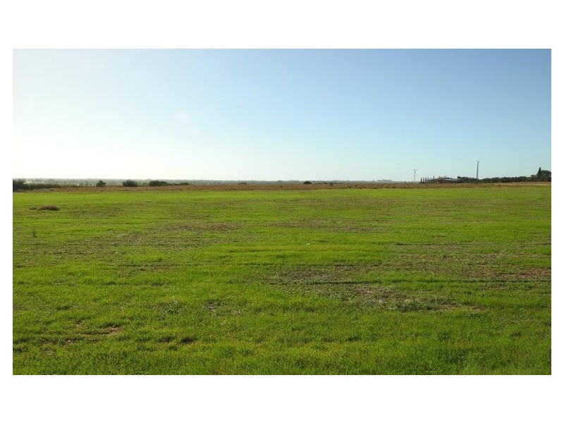 123 Gray Road, Moorook SA 5332