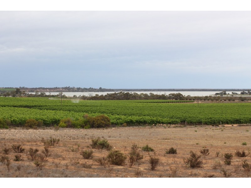 123 Gray Road, Moorook SA 5332