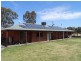 423 Gratwick Road, Loxton SA 5333