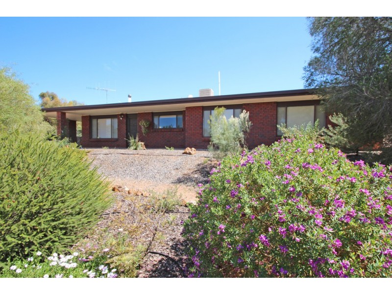 22 Murtho Road, Paringa SA 5340
