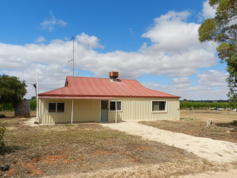 16 Moss Road, Monash SA 5342