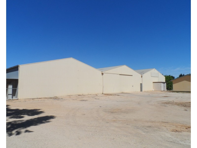 43 Robertson Avenue, Loxton SA 5333