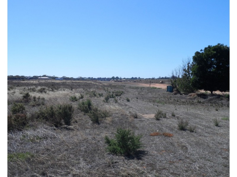 43 Robertson Avenue, Loxton SA 5333