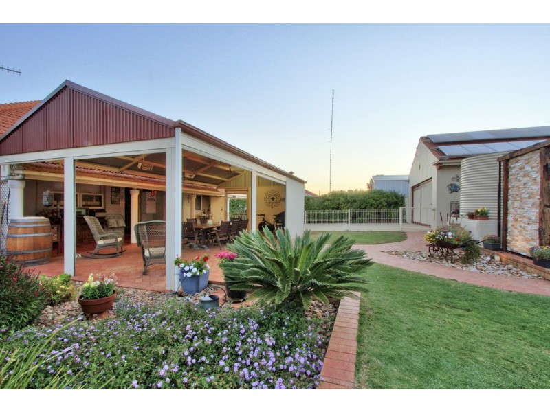 42 Wodonga Avenue, Loxton SA 5333