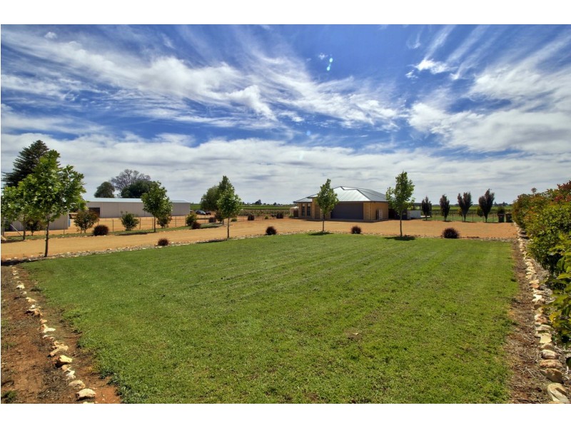 402 Balfour Ogilvy Avenue, Loxton SA 5333