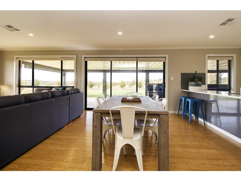 402 Balfour Ogilvy Avenue, Loxton SA 5333