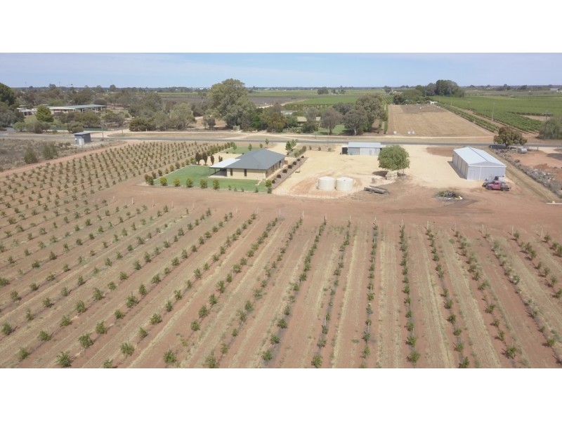 402 Balfour Ogilvy Avenue, Loxton SA 5333