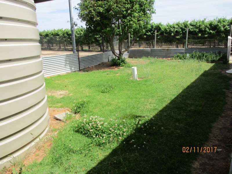 210 Namoi Street, Renmark North SA 5341