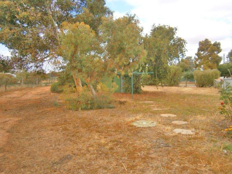 51 Baldock Road, Waikerie SA 5330