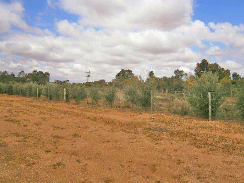 51 Baldock Road, Waikerie SA 5330