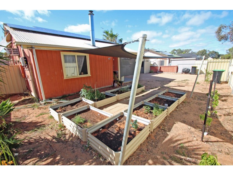 47 Tapio Street, Renmark SA 5341