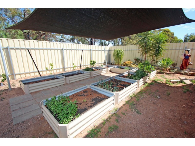 47 Tapio Street, Renmark SA 5341