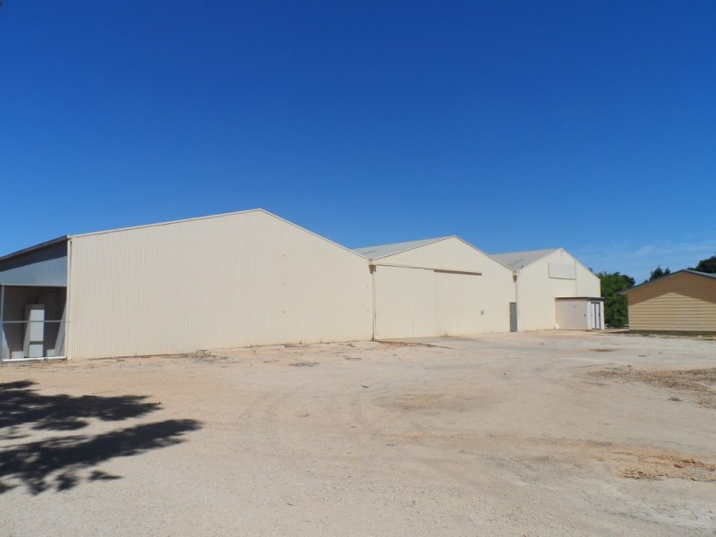 43 Robertson Avenue, Loxton SA 5333