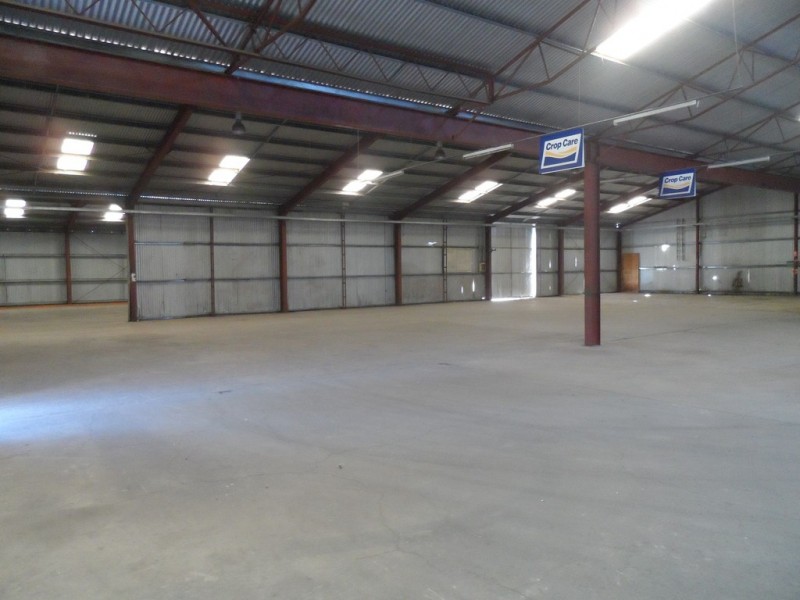 43 Robertson Avenue, Loxton SA 5333