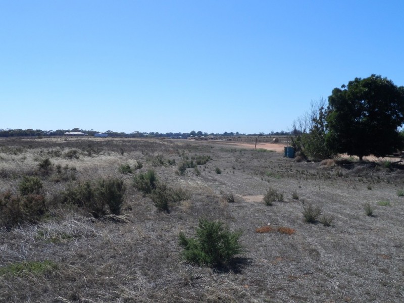 43 Robertson Avenue, Loxton SA 5333