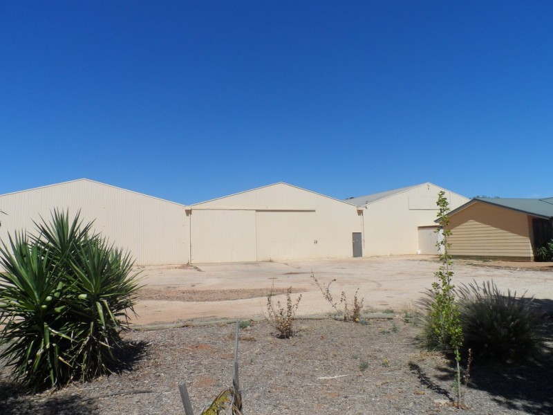 43 Robertson Avenue, Loxton SA 5333