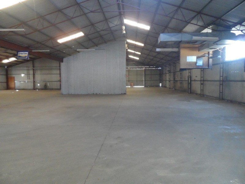 43 Robertson Avenue, Loxton SA 5333 Floorplan