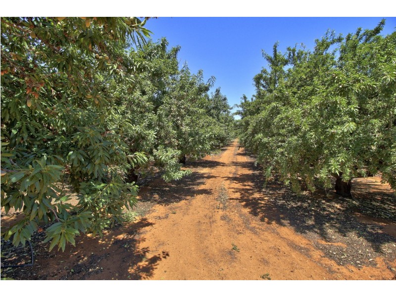 28 Gosse Avenue, Loxton SA 5333