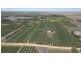 28 Gosse Avenue, Loxton SA 5333