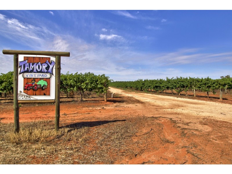 3012 Kingston Road, Loxton SA 5333