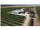 3012 Kingston Road, Loxton SA 5333