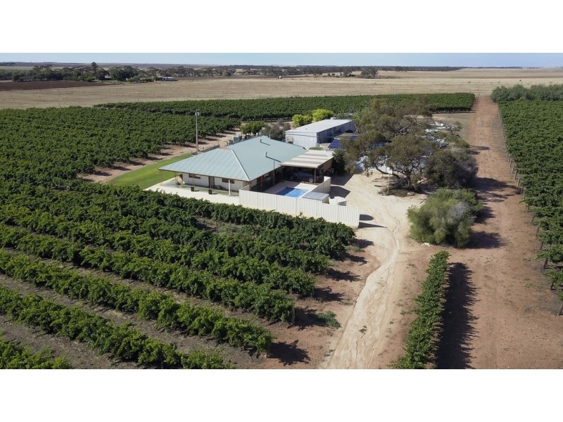 3012 Kingston Road, Loxton SA 5333