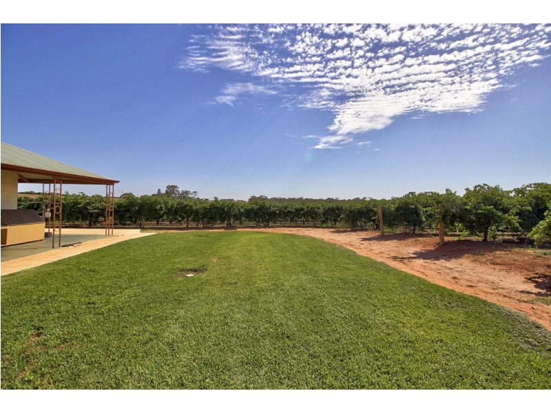 3012 Kingston Road, Loxton SA 5333