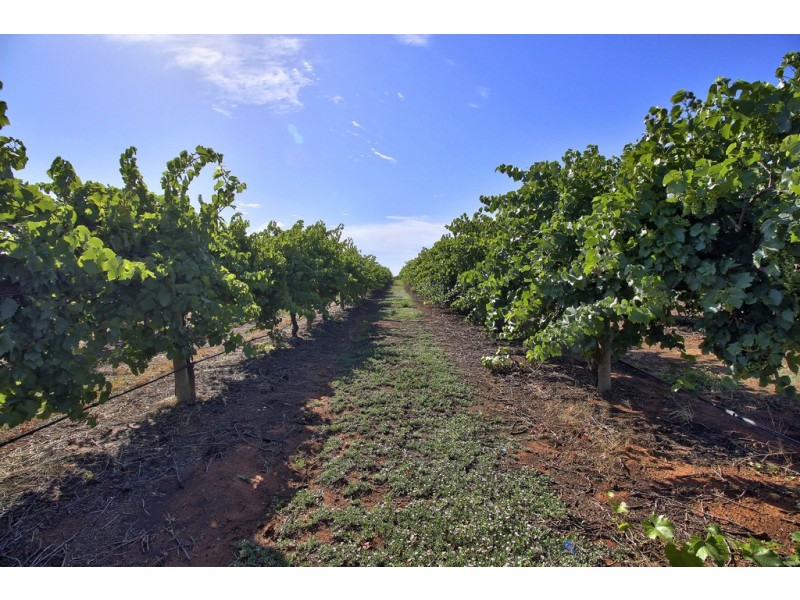 3012 Kingston Road, Loxton SA 5333