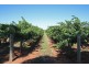 Lot 4 Kingsbury Road, Loxton SA 5333